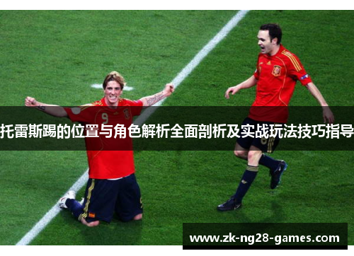 托雷斯踢的位置与角色解析全面剖析及实战玩法技巧指导