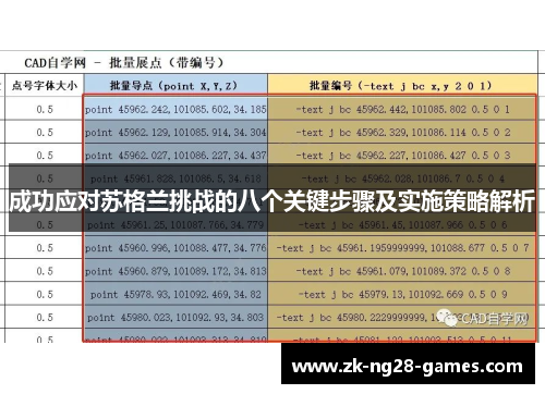 成功应对苏格兰挑战的八个关键步骤及实施策略解析